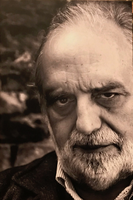 © Federica Repetto 2019