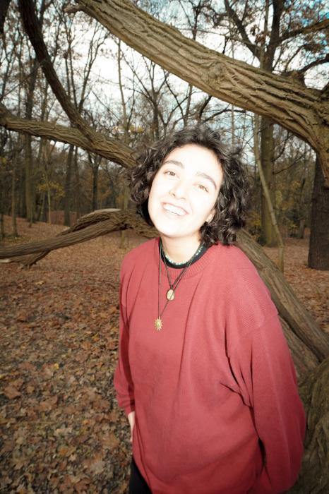 © ænna talepsi 2024