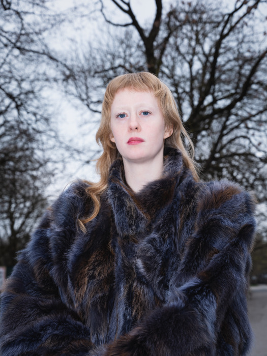 © Stella Traub 2025