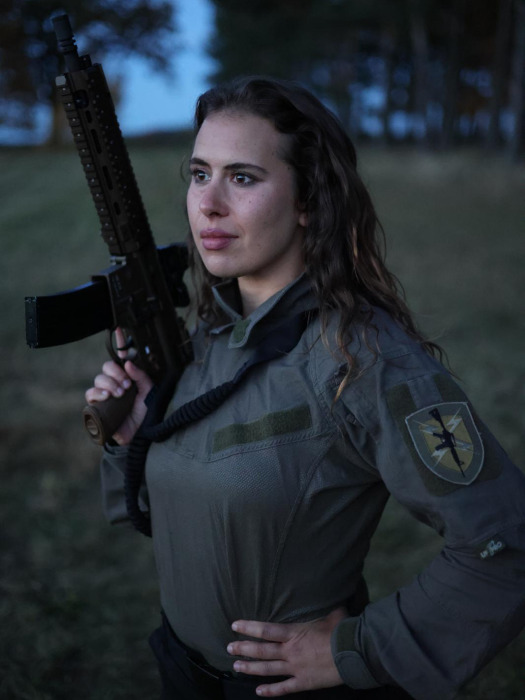 © Sicherheitsinstitution 2025